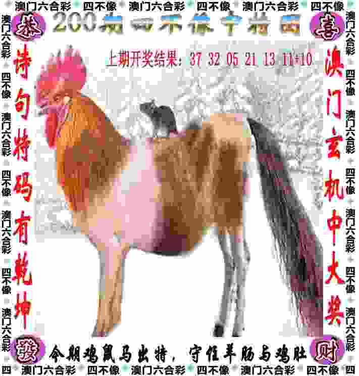 3个月打了34场比赛，孙颖莎宣布退出亚锦赛单项比赛：肌肉出现明显反应，输了我们擦干眼泪，下次赢回来